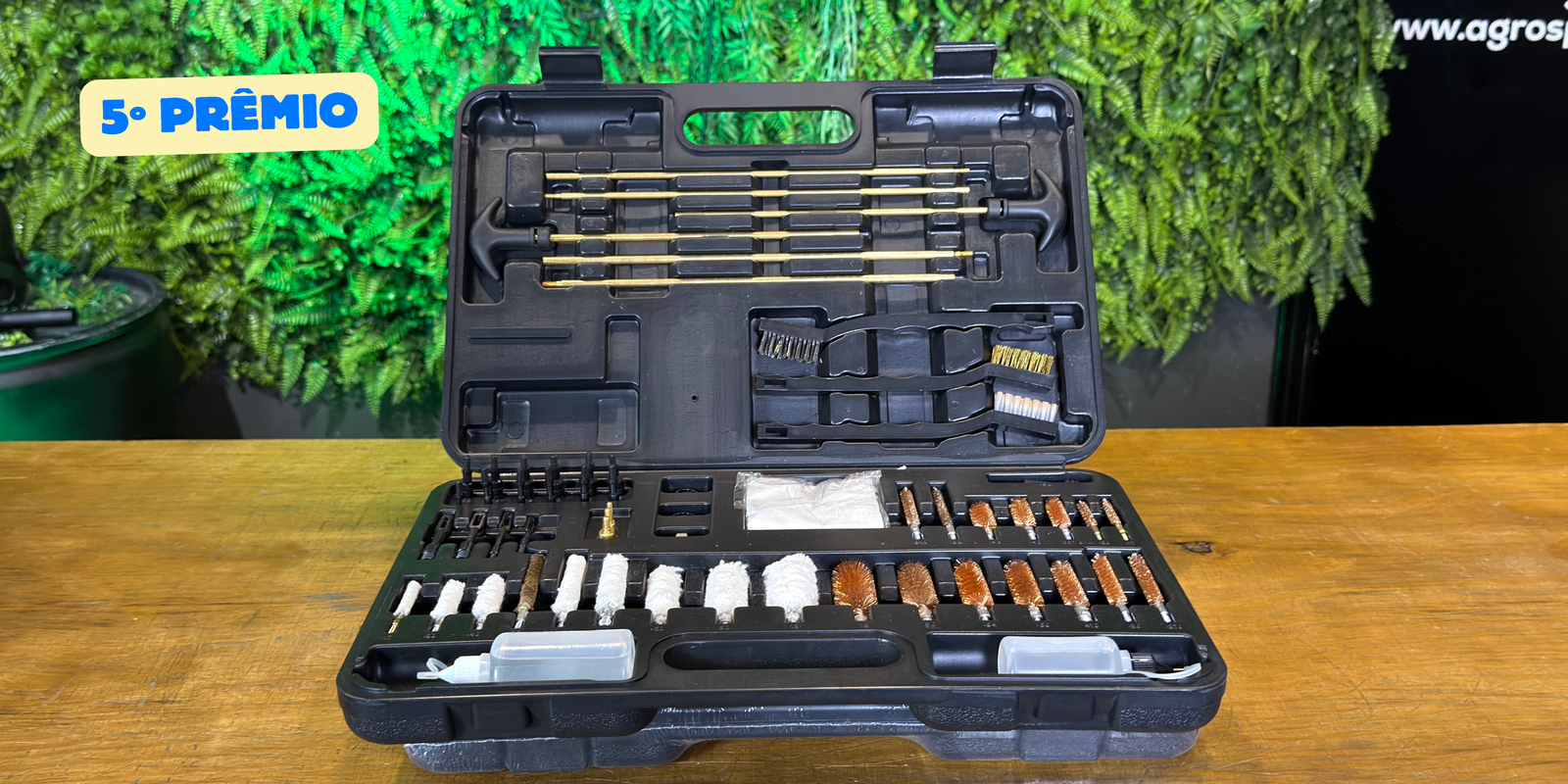 RAPIDINHA DE 1.000 COTAS!!!